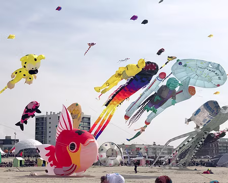 20230416-15h09m56s-IMG_0301-V3