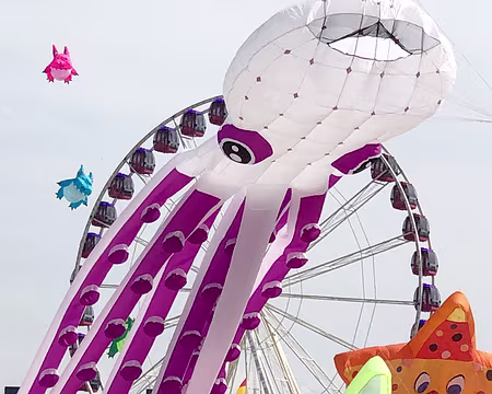 20230416-15h10m41s-IMG_0302-V3