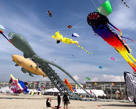 20230416-15h14m34s-IMG_0303-V3