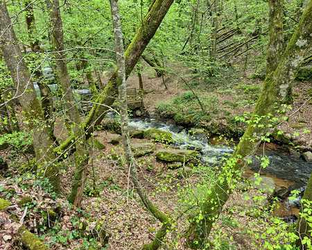 008.JPG Le Coyroux alimentant le canal des Moines
