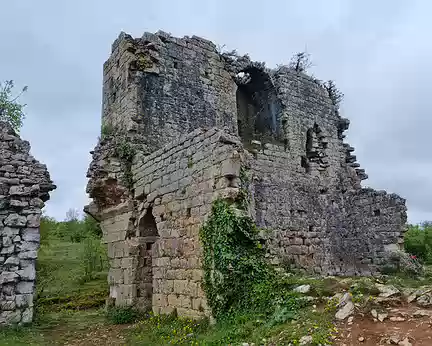 018.JPG Ruines du Taillefer XIIIe siècle. Dominant la Dordogne de 150 m