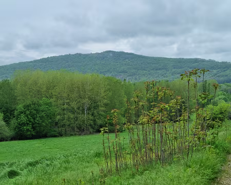 079.JPG En haut notre but : le mont Mercou (316 m)