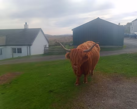 IMG_20230504_102551323