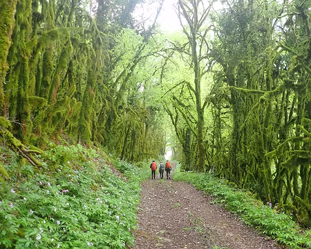 Lottentetic-21 Vallée du Vers