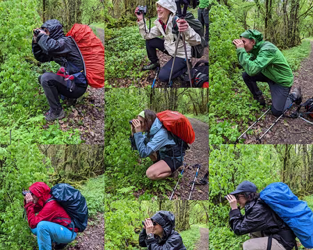 Lottentetic-24 Biche en vue