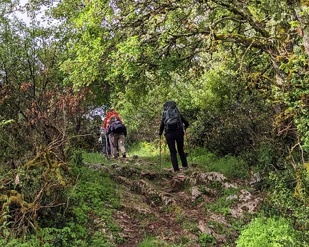 Lottentetic-29 Pech de Béars