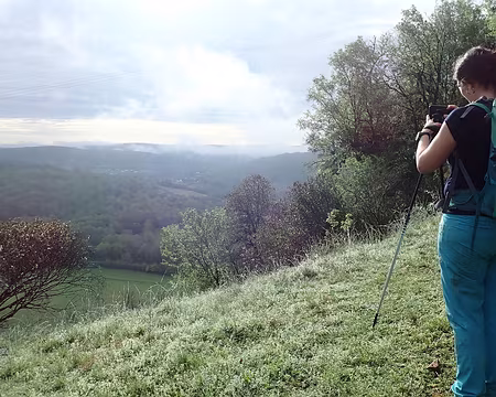 Lottentetic-31 La Devèze