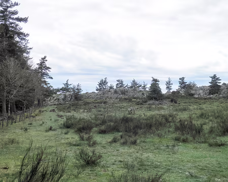 20230428-10h21m56s-P4280552-V3 rocher de la Rechaubo