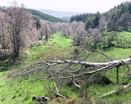 20230428-15h44m49s-IMG_0317-V3