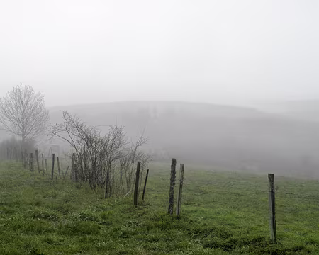 20230429-10h49m26s-P4290595-V3 Mont Lozère