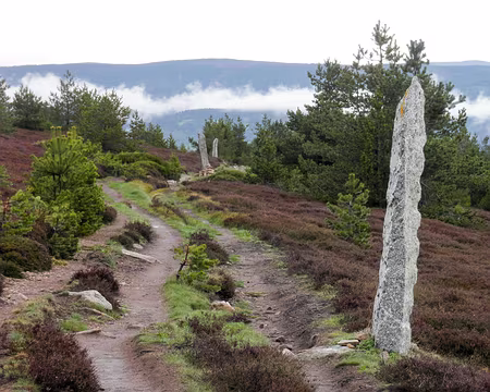 20230429-11h48m37s-P4290606-V3