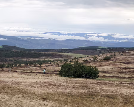 20230429-12h00m45s-IMG_0333-V3