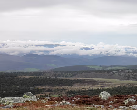 20230429-12h21m27s-P4290619-V3