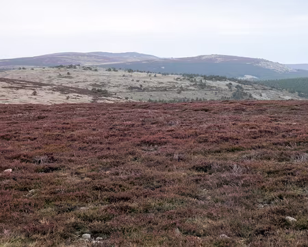 20230429-12h30m03s-P4290620-V3 crete du mont Lozere et pic Cassini