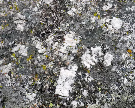 20230429-12h32m44s-P4290624-V3 feldspath - dents de cheval