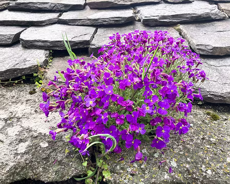 20230429-14h06m43s-IMG_0359-V3