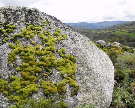 20230429-15h34m02s-P4290639-V3