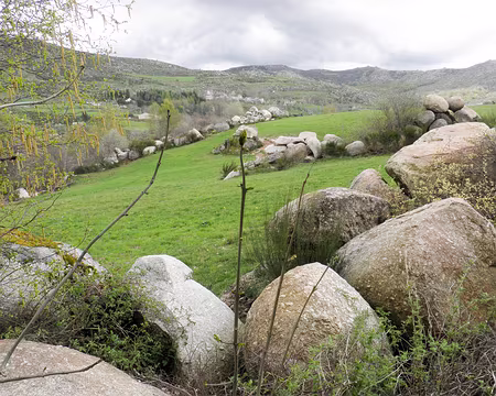 20230429-15h42m13s-P4290642-V3 Rieumal