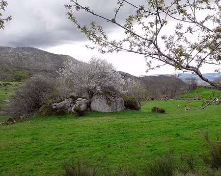 20230429-15h42m30s-20230429_154230-V3