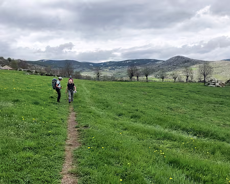 20230429-15h55m27s-IMG_0364-V3