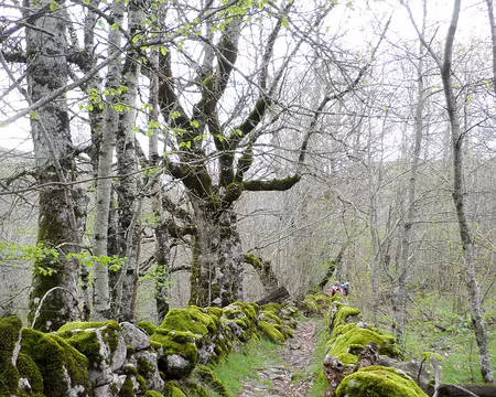 20230430-09h37m38s-P4300659-V3 Le Mazel