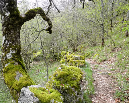 20230430-09h42m48s-P4300666-V3