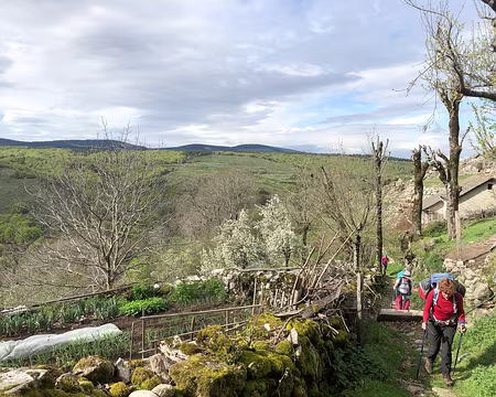 20230430-10h01m43s-IMG_0374-V3