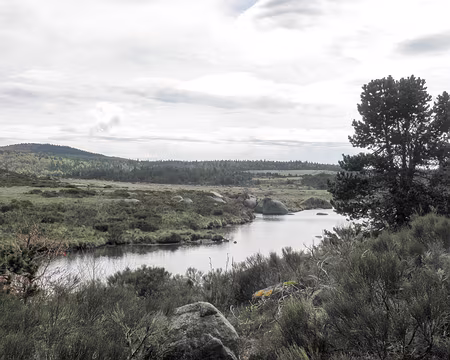 20230430-11h24m46s-P4300679-V3 la plaine du Tarn