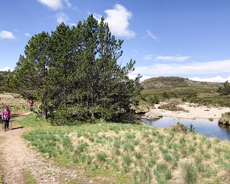 20230430-11h40m35s-IMG_0377-V3