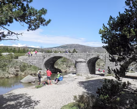 20230430-11h54m26s-P4300685-V3 Pont du Tarn