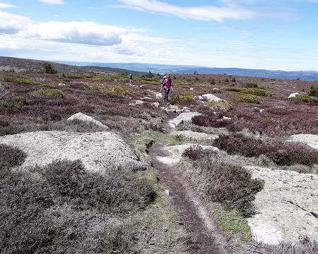 20230430-14h37m59s-20230430_143759-V3