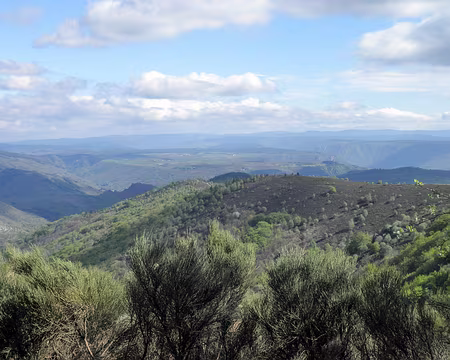 20230501-10h43m06s-P5010714-V3 descente vers Villefort