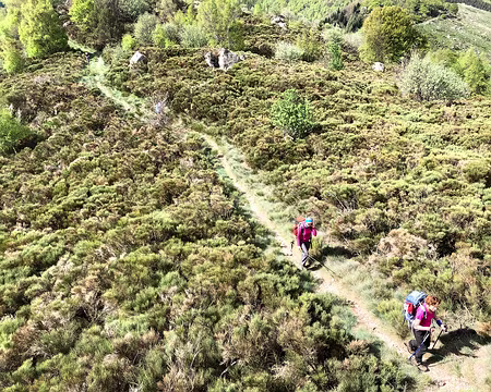 20230501-10h44m26s-IMG_0396-V3