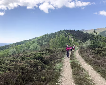 20230501-11h01m33s-IMG_0398-V3 .