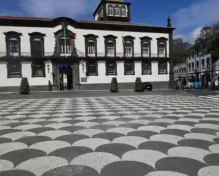 Mad001 Funchal, place de la l’Hôtel de Ville. Le carrelage à petits carreaux est typique des villes portugaises.