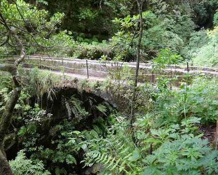 Mad061 Les levadas franchissent parfois les torrents…