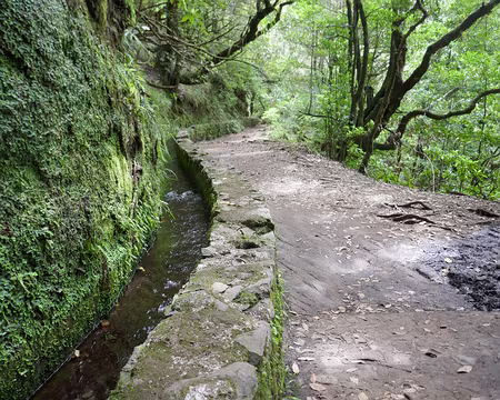 Mad063 Levada do Caldeirão Verde