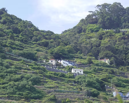 Mad085 Les hauts de Porto Moniz