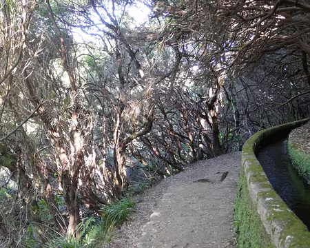 Mad090 … et bruyères arbustives