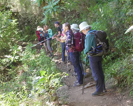 Mad099 En allant vers la cascade de Ribeira Grande
