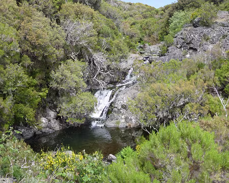 Mad102 Ribeira Grande, la plus longue « rivière » de Madère