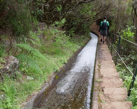 Mad104 La levada do Alecrim s’offre une petite cascade