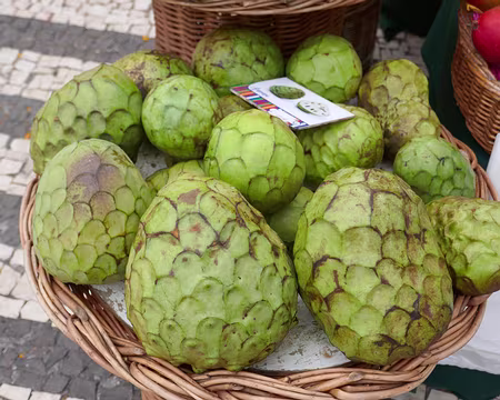 Mad111 L’anone est le fruit emblématique de Madère. Délicieuse, quand elle est bien mûre