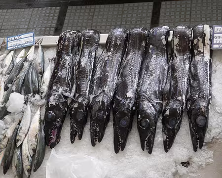 Mad112 Le poisson sabre est sur tous les menus, avec ou sans banane, malgré sa tête peu avenante