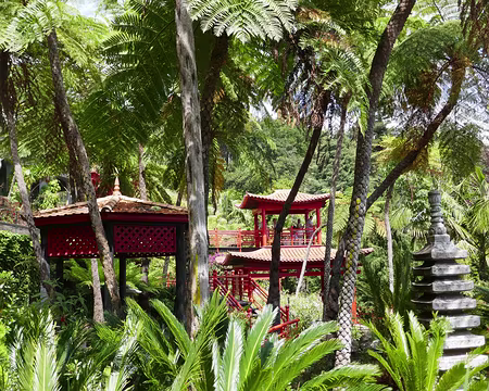 Mad118 Le très beau jardin du Monte Palace