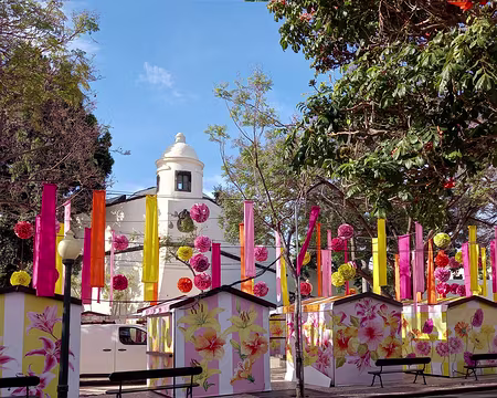 001 27.04.23 Funchal. Bientôt la fête des fleurs.