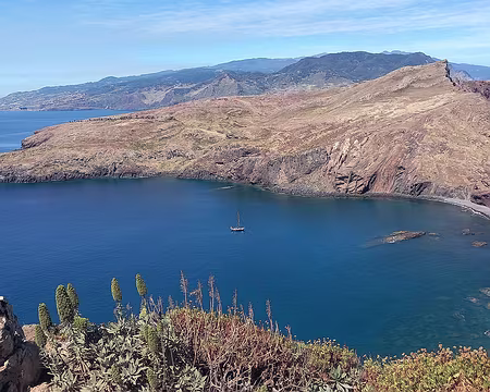 014 Vipèrines de Madère au 1er plan, déjà en graines.