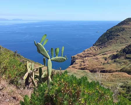 023 Les ilhas Desertas et le Monte Facho.