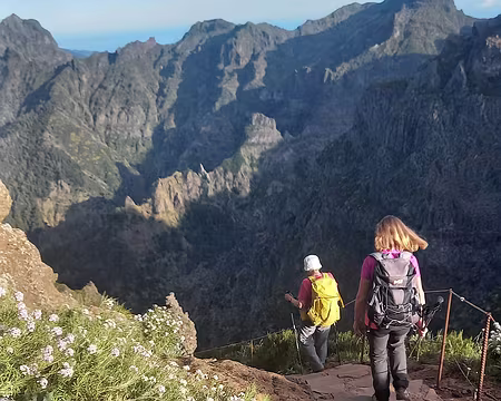 033 Renoncules des Açores et giroflées de Madère. Un sentier vertigineux mais bien sécurisé.