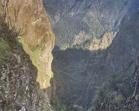 035 Face au Pico Ruivo, le regard plonge dans le cirque montagneux de Curral das Freiras